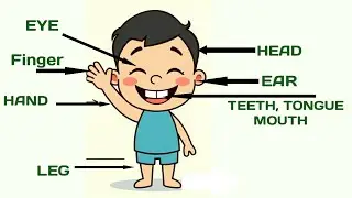 Learn Body Parts for kids | Eye Ear Nose & More | Nursery Kids  Education | KidStory Gadekar 