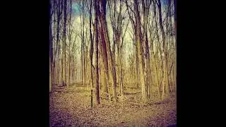 Between Houses - Yellow