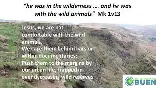BUEN   Worship   Lent   Wilderness and Wildness