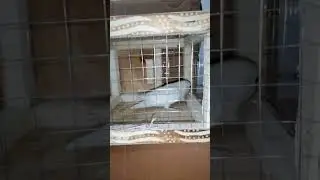 VID 20240320 WA0046