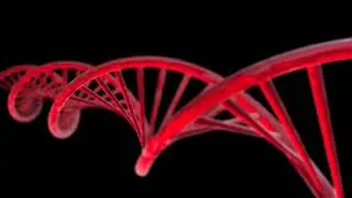 DNA - DEOXYRIBONUCLEIC ACID ,DNA MOLECULE,DNA STRAND 🧬 #DNASCIENCE