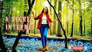 Тайный подземный интернет, соединяющий каждое дерево в лесу | Документальный фильм о природе