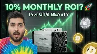 ElphaPex DG1+ Technical Review: The Biggest Price Drop in Crypto Mining? | BGC Miners #dogecoin