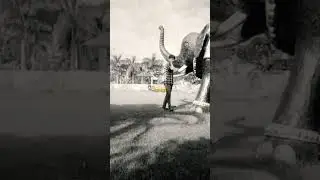 Mera Dimag Kesa He 😂😅\\        #shorts #viral   #video