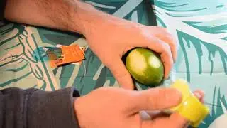 Chef'n Vibe Palm-Held Citrus Zester Review