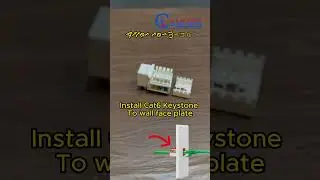 Best Guide of 90 Degree Keystone Jack