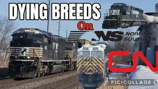 Dying Breeds on Norfolk Southern (CN 3951 CITIRAIL, NS 1836 ACC, NS 6428 THB SD40-3, NS 4851 & More)