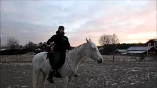 Träningsfilm- Börja rida i halsring