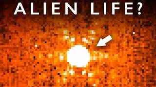 Why You Should Pay Attention to TRAPPIST-1