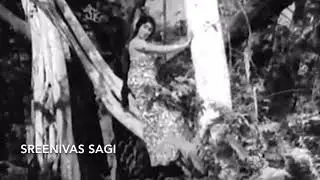 Circar Express  - Cheli kanule kaluvalani - PB Srinivas & S Janaki
