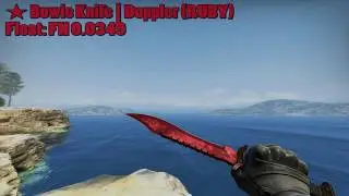 ★ Bowie Knife | Doppler (RUBY) FN SHOWCASE
