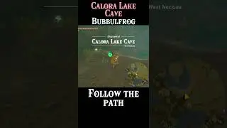 Where To Find Calora Lake Cave Bubbulfrog | #zelda Tears of the Kingdom #totk