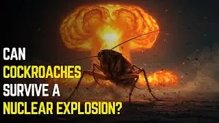 Can Cockroaches Really Survive a Nuclear Explosion (Myth or Truth)