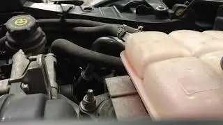 Ford Focus Ti-VCT engine sound