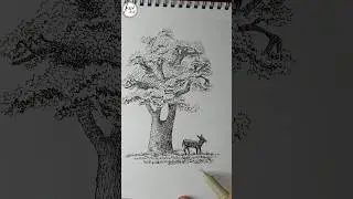 Oak tree #drawing#  #favart07 #shorts #youtubeshorts #tree #pendrawing #inkdrawing