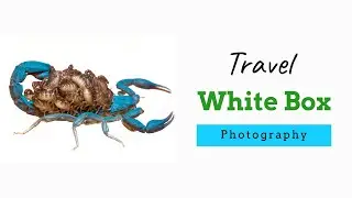 Travel White Box for Photography | light weight and compact