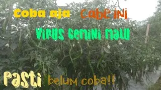 CABE VeLos??