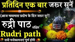 Rudri path ||रुद्री पाठ |प्रतिदिन एक बार जरूर सुनें| #rudripath #@pujapathmantrastotra_shakti9 #shiv