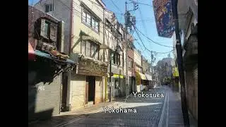 DigiDoggi Trip Clip - DOBUITA STREET