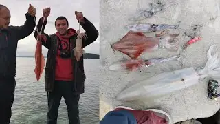 Eging - lignja na lignju 1.80kg (i još masu liganja)