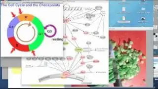 Chromosome Damage and Remedy: Recharge Biomedical - Dr Ed Park