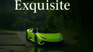 Paulensia - Exquisite | EDM x House Party Vibes 