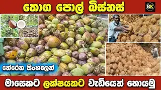 පොල් බිස්නස් එකක් කොහොමද හරියට කරන්නේ | How to make coconut business | New business ideas