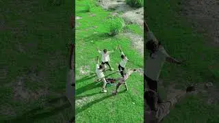 gayani ham barat  rahe shadi ke din #video #viralvideo #viralreels #dance #youtubeshorts #foryou