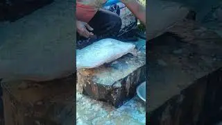 Fish Cutting From Market | Fresh Big Fish Cleaning & Smooth Professional Cutting Skills