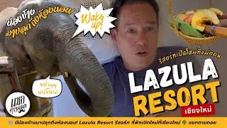 🐘 มีน้องช้างมาปลุกถึงห้องนอน! Lazula Resort รีสอร์ท ที่พักเปิดใหม่ที่เชียงใหม่ 🌳 แขกตามดอย