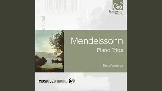 Piano Trio No. 1 in D Minor, Op. 49: I. Molto Allegro agitato