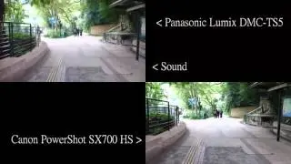 Canon PowerShot SX700 HS VS Panasonic Lumix DMC TS5