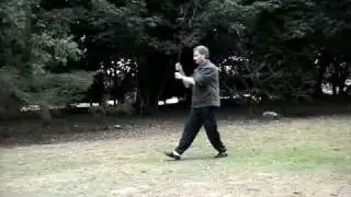 Tai Chi Chuan Tradition Walking Stick Form