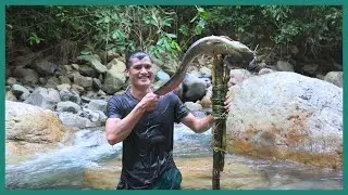 Primitive Weapon Made from Tree Used to Hunt Underwater Creatures