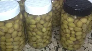 الطريقة كفاش ترقدي الزيتو ن ويصبر معاك مدة طويلة حتل عام وميخسرش 