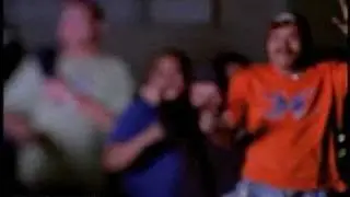 HARMONIKS WITH THE WORLD - VIDEO