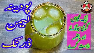 Easy Summer Special Mint Lemon Refreshing Drink Recipe