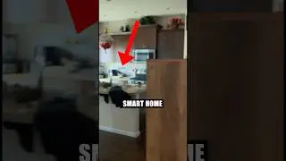 Smart home disaster #shorts