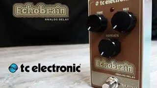 TC Electronic - ECHOBRAIN analog delay