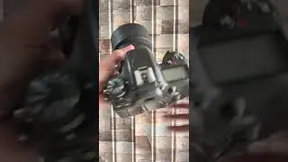 Nikon D7200 || Portrait Setup with 50mm 1&bull;8G Lens || best photography || #camera #shorts #nikon