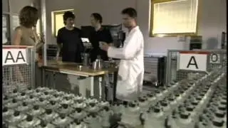 Malossi   Factory
