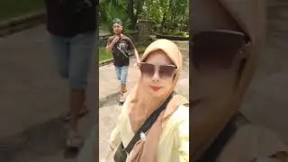 Lihat burung merak secara dekat. #wisataalam #wisata #liburan