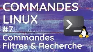 Commandes LINUX | Commandes Filtres & Recherche #7