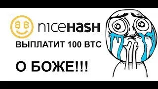 NICEHASH ВЫПЛАТИТ 100 BTC! КАК УВЕЛИЧИТЬ ПРИБЫЛЬНОСТЬ?! ДОХОД В KRIPTEX С РАЗГОНОМ И БЕЗ.