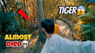Achanak TIGER Aa Gaya 😱 | Jungle Mein Marte-Marte Bach Gaye 🐯🔥&rdquo;