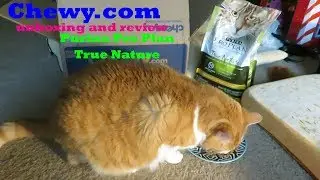 Chewy.com Unboxing And Review | Purina Pro Plan True Nature