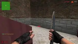 Counter Strike Source Zombination killing spree