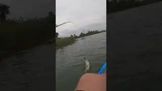 Good bass eats the crankbait! #fishing #bass #adventure #explore #outdoors #bassfishing #fish
