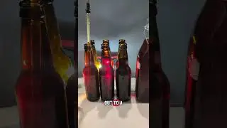 Mesquite + Mango Honey Did Work 🍯 | Fruit Mead Results