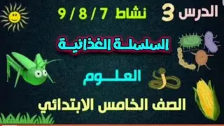 🌿 السلسلة الغذائية في النظام البيئي 🐛🦅 | نشاط 7 / 8 / 9 الدرس الثالث علوم خامسة ابتدائي الترم الأول